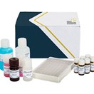 Aflatoxin B1 ELISA