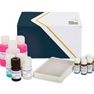 Aflatoxin Total ELISA