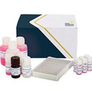 Deoxynivalenol (DON) ELISA