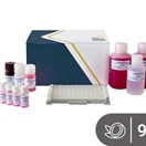 Coconut ELISA