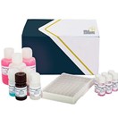 Deoxynivalenol RAPID ELISA