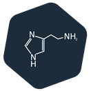 Histamin RAPID ELISA