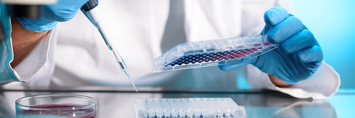 Gold Standard Diagnostics Kassel GmbH