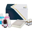 Aflatoxin M1 ELISA