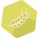 Gliadin/Gluten ELISA